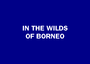 IN THE WILDS

0F BORNEO