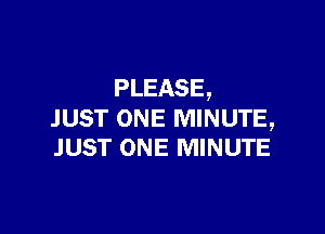 PLEASE,

JUST ONE MINUTE,
JUST ONE MINUTE