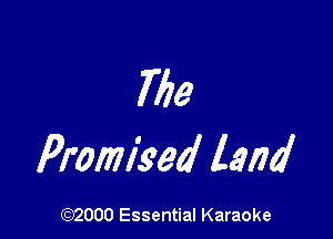 i779

Promised land

(972000 Essential Karaoke