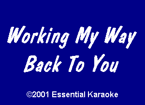 Working My Way

Back 70 Vol!

W001 Essential Karaoke