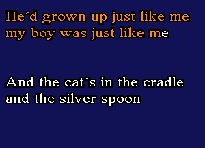 He'd grown up just like me
my boy was just like me

And the cat's in the cradle
and the silver spoon