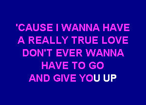 'CAUSE I WANNA HAVE
A REALLY TRUE LOVE
DON'T EVER WANNA
HAVE TO GO
AND GIVE YOU UP