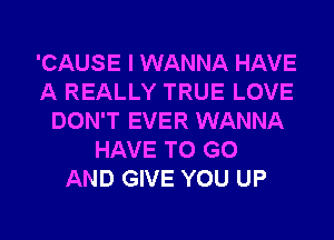 'CAUSE I WANNA HAVE
A REALLY TRUE LOVE
DON'T EVER WANNA
HAVE TO GO
AND GIVE YOU UP