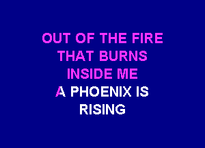 OUT OF THE FIRE
THAT BURNS
INSIDE ME

A PHOENIX IS
RISING