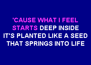 'CAUSE WHAT I FEEL
STARTS DEEP INSIDE
IT'S PLANTED LIKE A SEED
THAT SPRINGS INTO LIFE