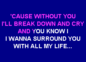 'CAUSE WITHOUT YOU
I'LL BREAK DOWN AND CRY
AND YOU KNOW I
I WANNA SURROUND YOU
WITH ALL MY LIFE...