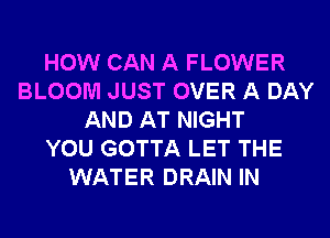 HOW CAN A FLOWER
BLOOM JUST OVER A DAY
AND AT NIGHT
YOU GOTTA LET THE
WATER DRAIN IN