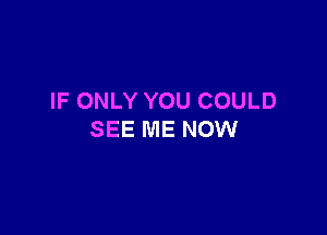 IF ONLY YOU COULD

SEE ME NOW