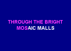 THROUGH THE BRIGHT

MOSAIC MALLS