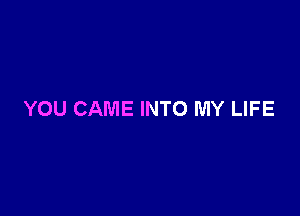 YOU CAME INTO MY LIFE