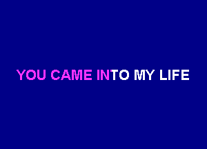 YOU CAME INTO MY LIFE