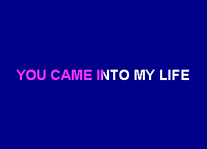 YOU CAME INTO MY LIFE
