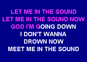 LET ME IN THE SOUND
LET ME IN THE SOUND NOW
GOD I'M GOING DOWN
I DON'T WANNA
DROWN NOW
MEET ME IN THE SOUND