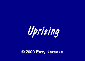 (lprl's'lhg

Q) 2009 Easy Karaoke