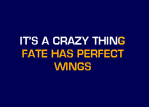 IT'S A CRAZY THING
FATE HAS PERFECT

WINGS