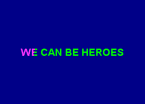 WE CAN BE HEROES