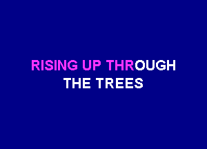 RISING UP THROUGH

THE TREES