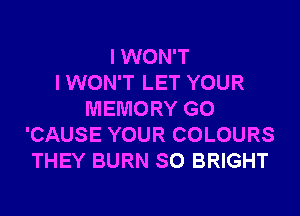 I WON'T
I WON'T LET YOUR
MEMORY G0
'CAUSE YOUR COLOURS
THEY BURN SO BRIGHT