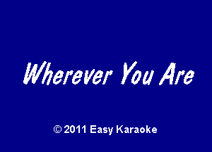 Wierever 1490 fire

2011 Easy Karaoke