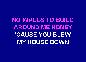 N0 WALLS TO BUILD
AROUND ME HONEY

'CAUSE YOU BLEW
MY HOUSE DOWN