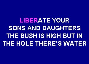 LIBERATE YOUR
SONS AND DAUGHTERS
THE BUSH IS HIGH BUT IN
THE HOLE THERES WATER