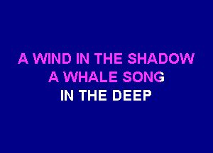 A WIND IN THE SHADOW

A WHALE SONG
IN THE DEEP