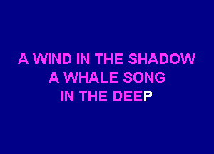 A WIND IN THE SHADOW

A WHALE SONG
IN THE DEEP