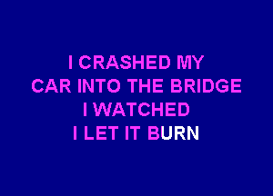 I CRASHED MY
CAR INTO THE BRIDGE

IWATCHED
l LET IT BURN