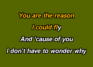 You are the reason
I could fly

And tause of you

I don't have to wonder why