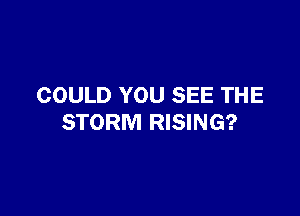 COULD YOU SEE THE

STORM RISING?