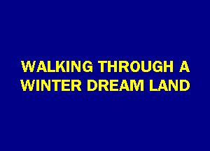 WALKING THROUGH A

WINTER DREAM LAND