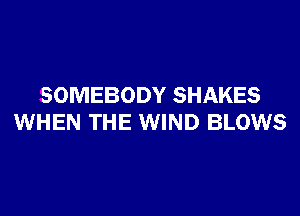 SOMEBODY SHAKES
WHEN THE WIND BLOWS