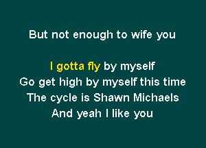 But not enough to wife you

I gotta fly by myself

Go get high by myself this time
The cycle is Shawn Michaels
And yeah I like you