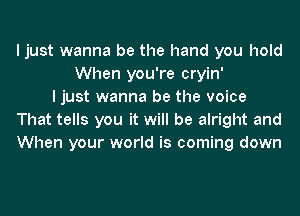 I just wanna be the hand you hold
When you're cryin'
I just wanna be the voice
That tells you it will be alright and
When your world is coming down