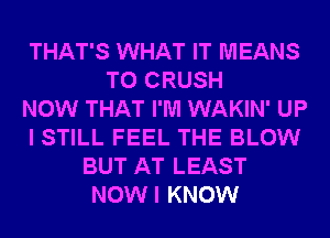 THAT'S WHAT IT MEANS
T0 CRUSH
NOW THAT I'M WAKIN' UP
I STILL FEEL THE BLOW
BUT AT LEAST
NOWI KNOW