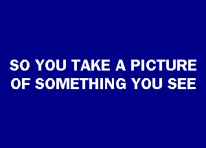 SO YOU TAKE A PICTURE
OF SOMETHING YOU SEE