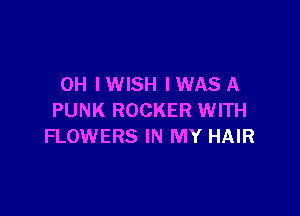 0H IWISH IWAS A

PUNK ROCKER WITH
FLOWERS IN MY HAIR