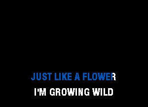 JUST LIKE A FLOWER
I'M GROWING WILD