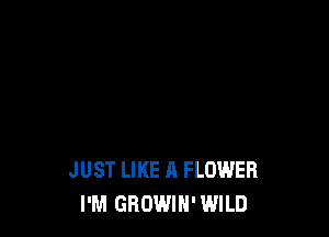 JUST LIKE A FLOWER
I'M GROWIH' WILD