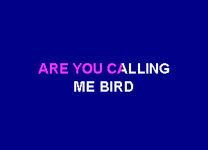 ARE YOU CALLING

ME BIRD