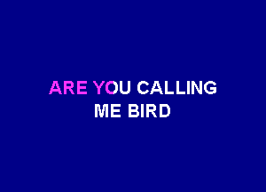 ARE YOU CALLING

ME BIRD
