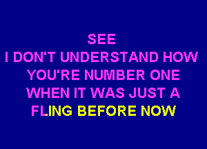 SEE
I DON'T UNDERSTAND HOW
YOU'RE NUMBER ONE
WHEN IT WAS JUST A
FLING BEFORE NOW