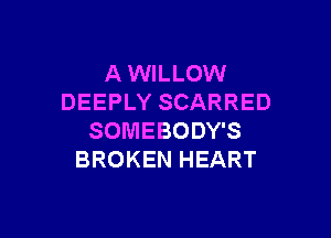 A WILLOW
DEEPLY SCARRED

SOMEBODY'S
BROKEN HEART