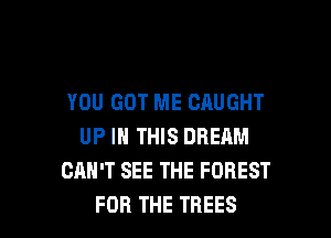 YOU GOT ME CAUGHT

UP IN THIS DREAM
CAN'T SEE THE FOREST
FOR THE TREES