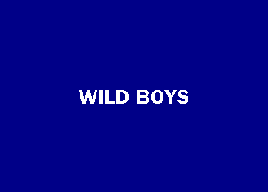 WILD BOYS