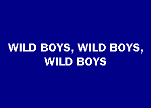 WILD BOYS, WILD BOYS,

WILD BOYS