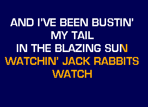 AND I'VE BEEN BUSTIN'
MY TAIL
IN THE BLAZING SUN
WATCHIM JACK RABBITS
WATCH
