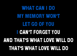 WHAT CAN I DO
MY MEMORY WON'T
LET GO OF YOU
I CAN'T FORGET YOU
AND THAT'S WHAT LOVE WILL DO
THAT'S WHAT LOVE WILL DO