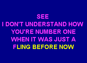 SEE
I DON'T UNDERSTAND HOW
YOU'RE NUMBER ONE
WHEN IT WAS JUST A
FLING BEFORE NOW