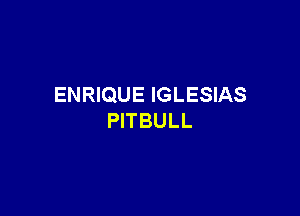 ENRIQUE IGLESIAS

PITBULL